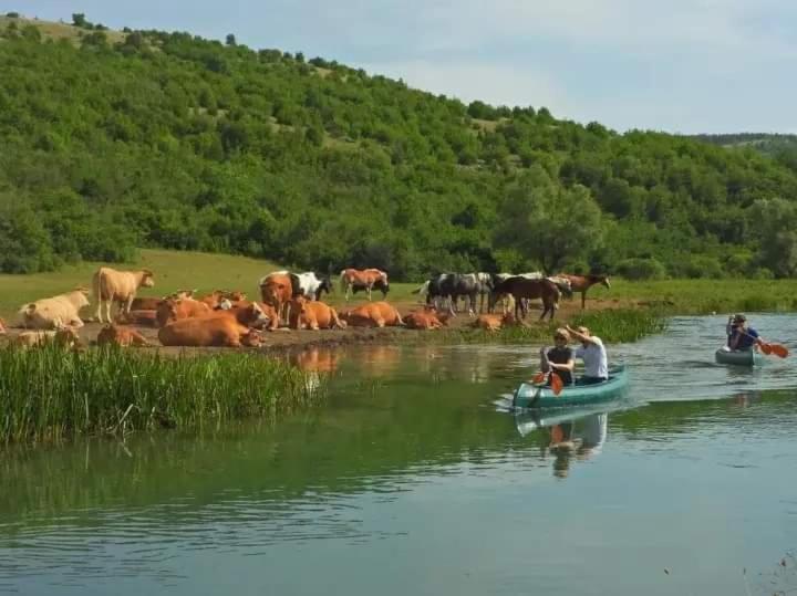 Ranc Crna Stina Villa Ливно Екстериор снимка