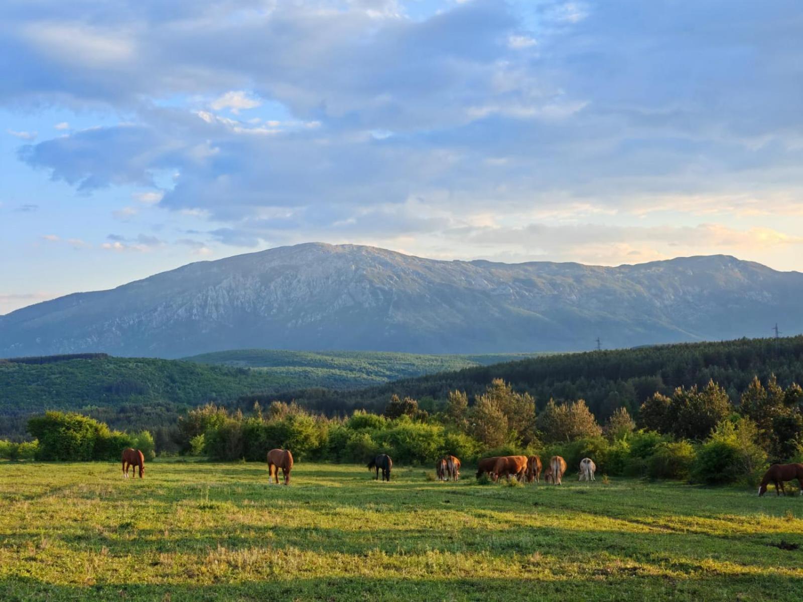 Ranc Crna Stina Villa Ливно Екстериор снимка